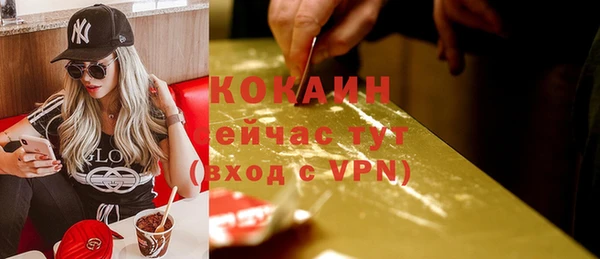 мяу мяу мука Магадан