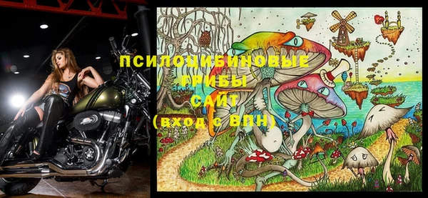 ешки Майский